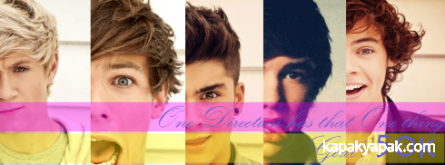 One Direction facebook kapak fotoğrafı