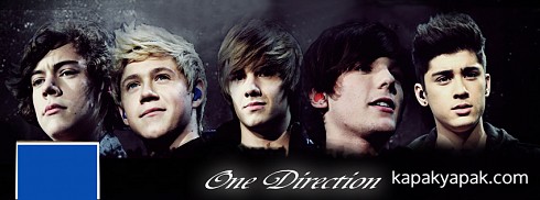 One Direction facebook kapak fotoğrafı